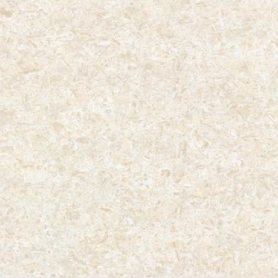 2654.jpg