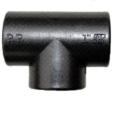 2970.jpg