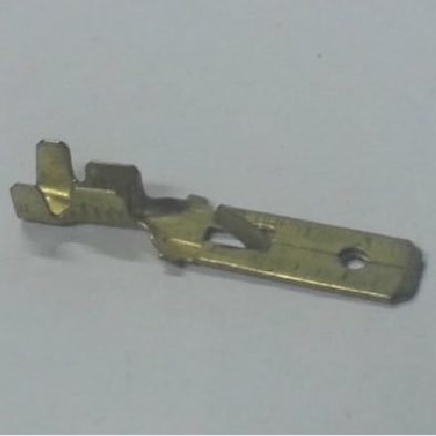4473.jpg